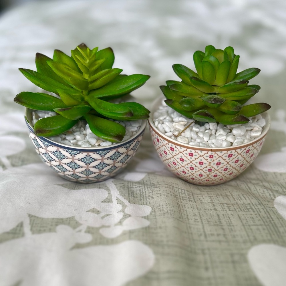 Adorable Mini Potted Faux Succulent Desert Green Plant Decor Accent Set of 2 - Picture 7 of 9